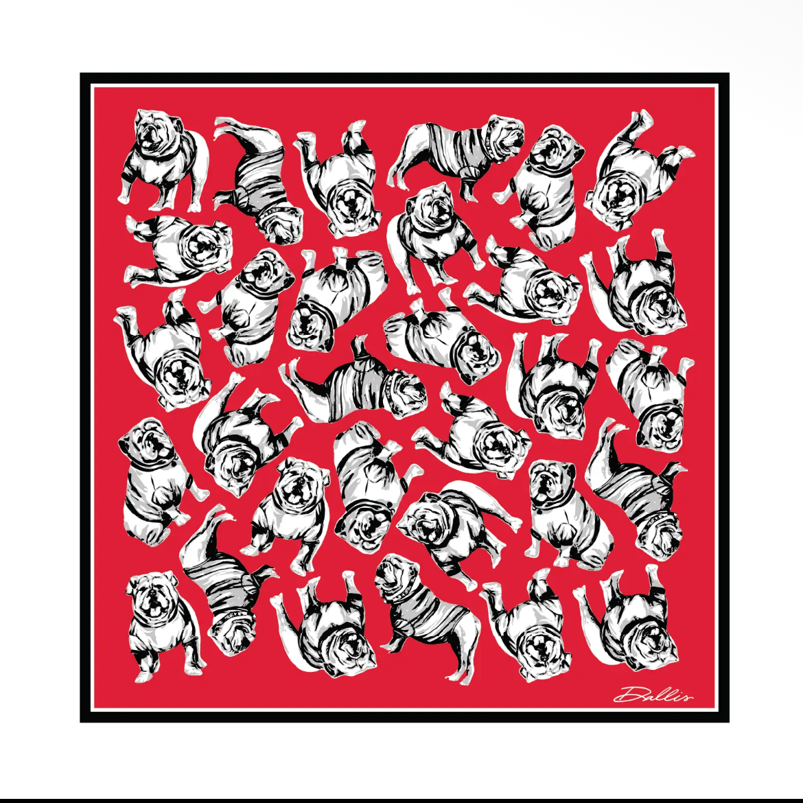 GINGHAM UGA SCARF