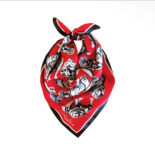 GINGHAM UGA SCARF